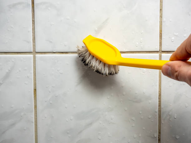 Best Mold Damage Repair  in East Los Angeles, CA