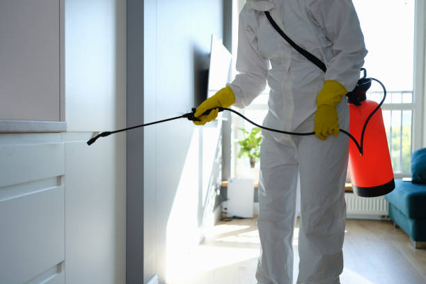 Best Commercial Mold Removal  in East Los Angeles, CA
