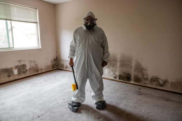 Mold Testing and Removal in East Los Angeles, CA